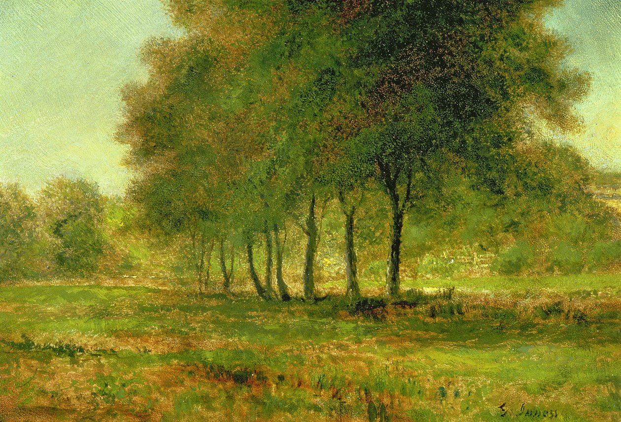 Zomer door George Inness