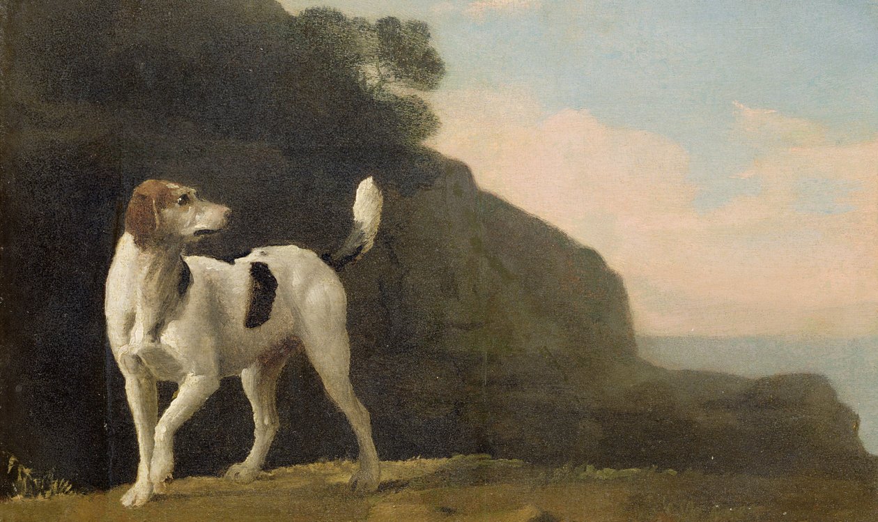 Een Foxhound, ca. 1760 door George Stubbs