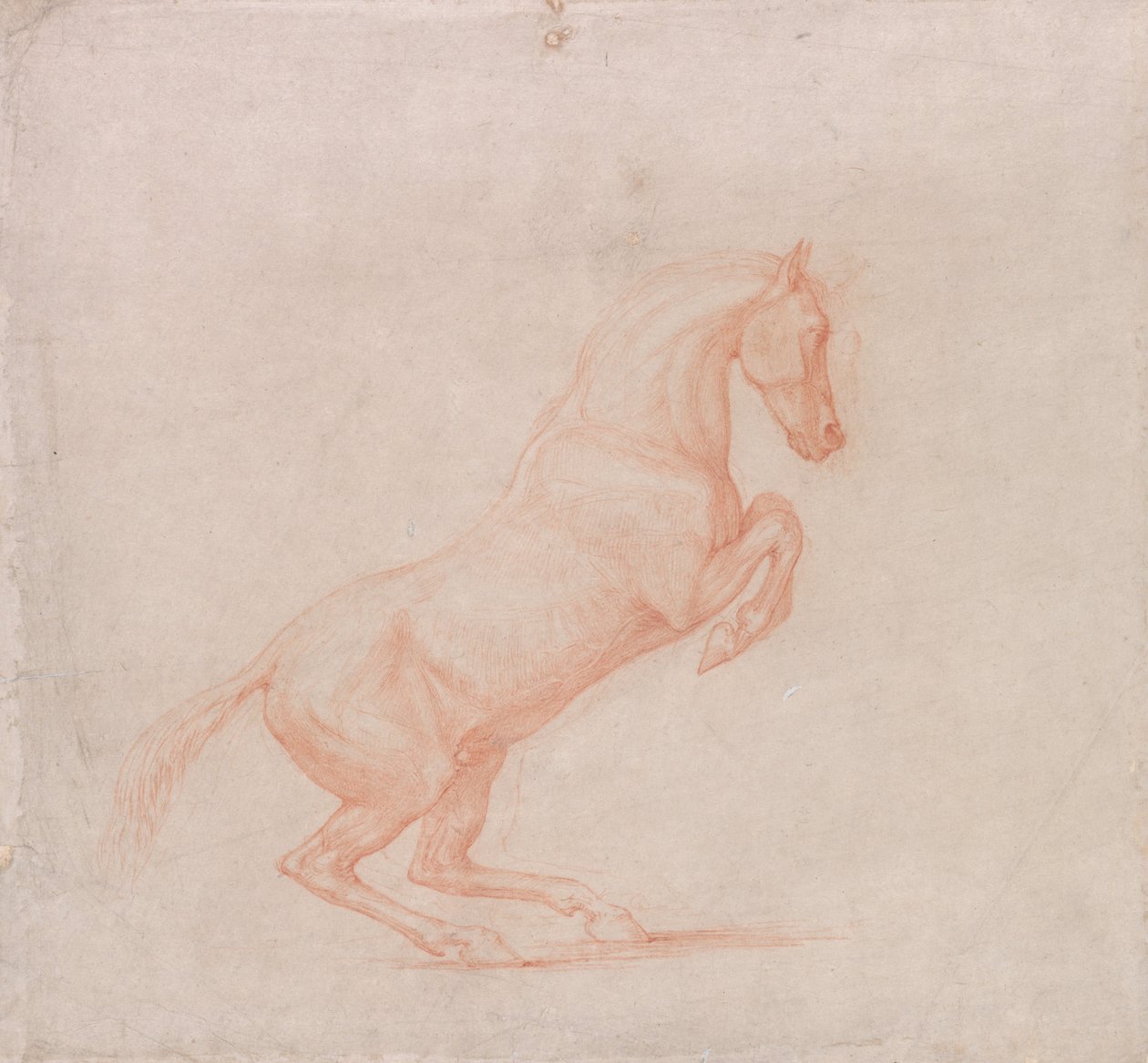 Een steigerd paard, naar rechts gericht door George Stubbs