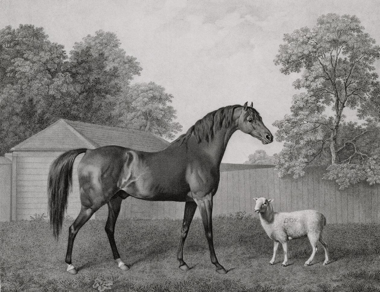 Dungannon, gegraveerd door George Townley Stubbs (1756-1815) uitgegeven 1794 door George Stubbs