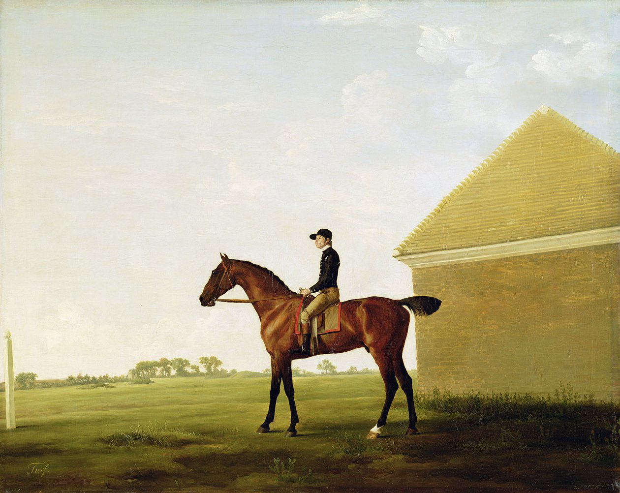 Turf, ca. 1765 door George Stubbs
