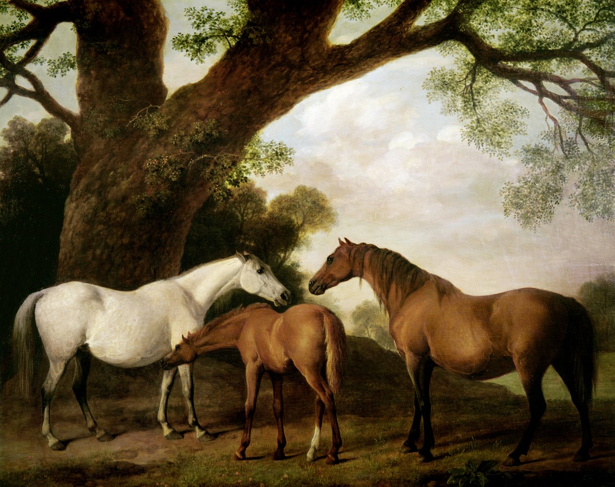 Twee Shafto Merries en een Veulen, 1774 door George Stubbs