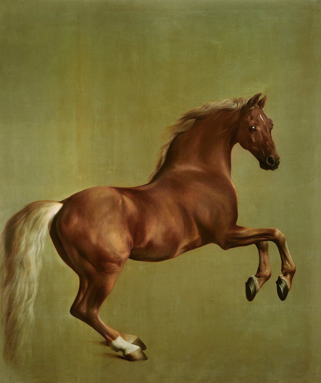 Whistlejacket, 1762 door George Stubbs