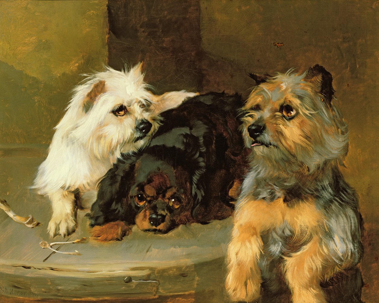 Geef een arme hond een bot door George Wiliam Horlor