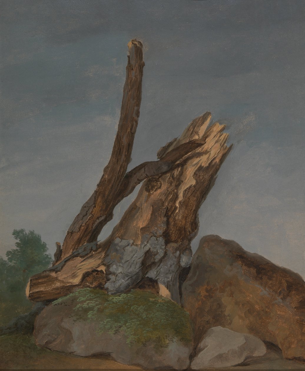 Studie van rotsen en takken door George Augustus Wallis