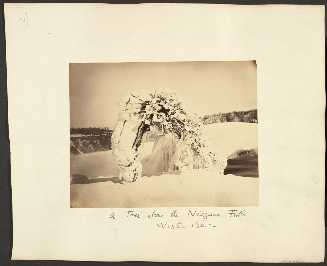 Een boom boven de Niagara watervallen door George Barker