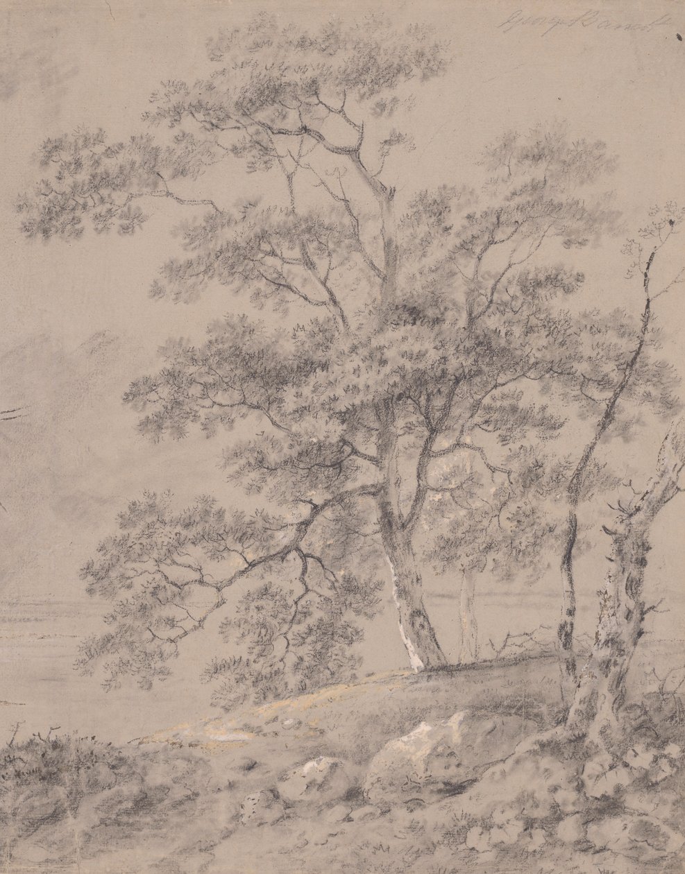 Boomstudie door George Barret
