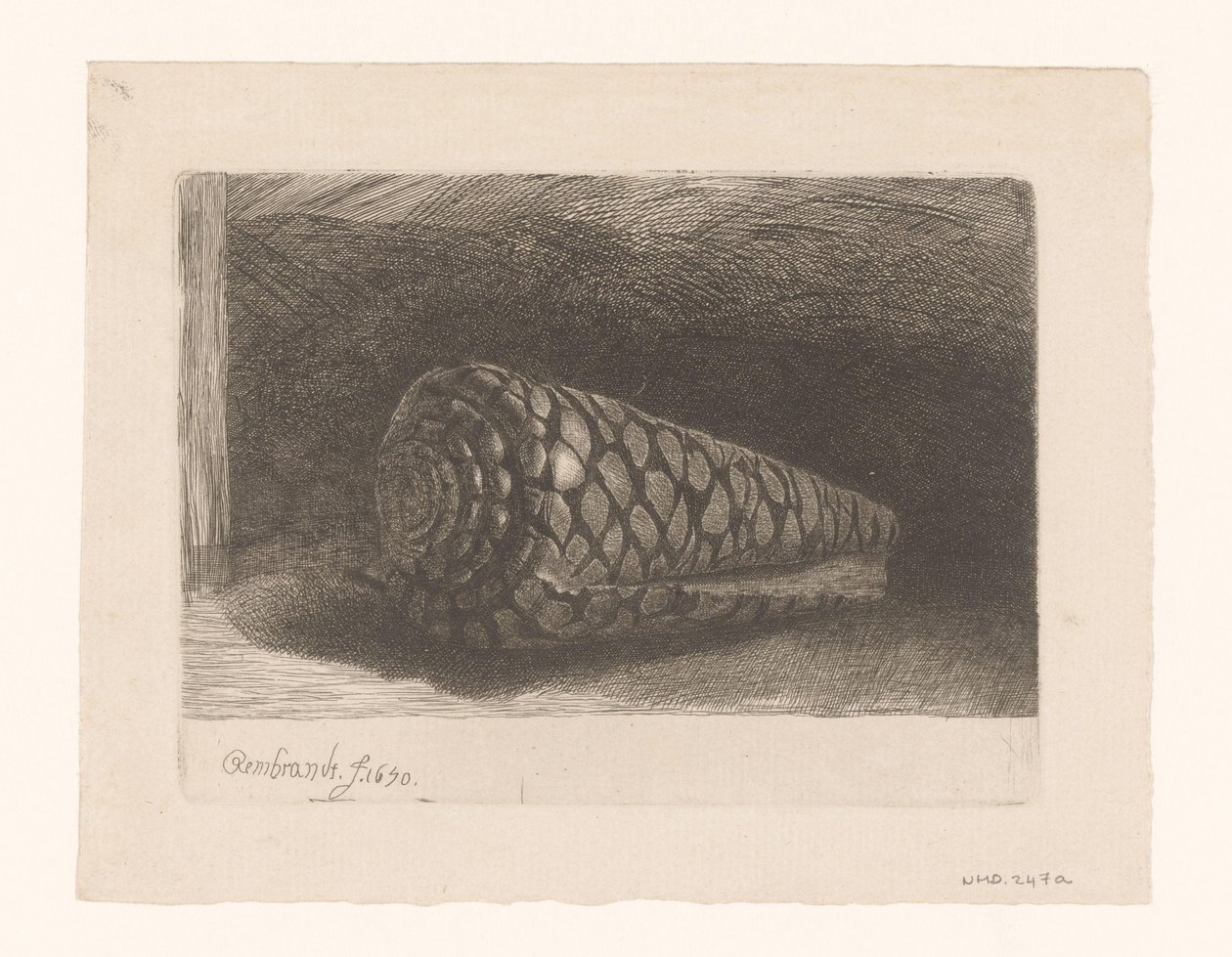 De schelp door George Bickham (II)