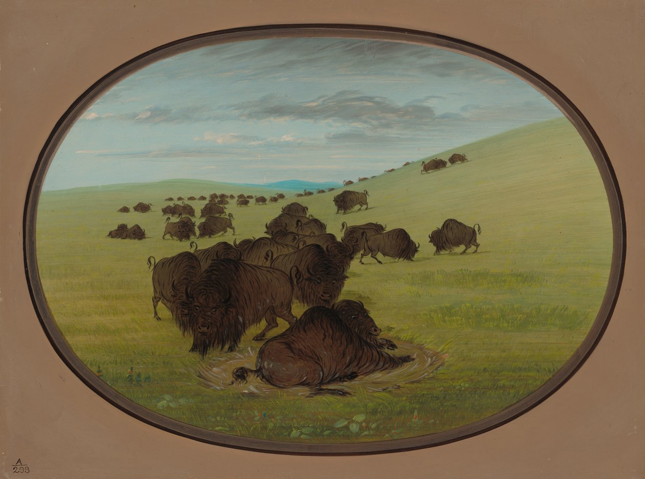 Een buffelwallow, 1861-1869 door George Catlin
