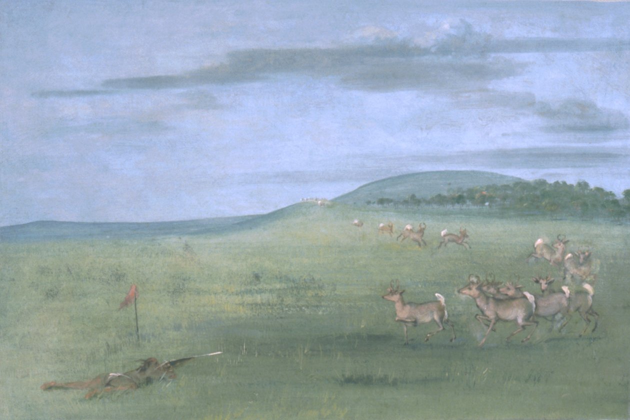 Antilopen schieten, omhoog lokken door George Catlin