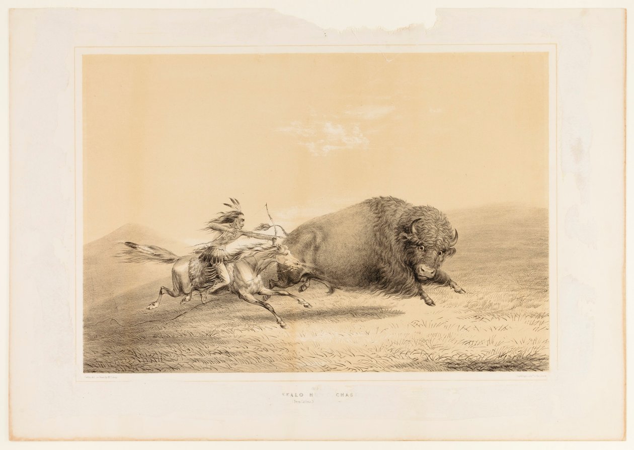 Buffeljacht, jacht--nr. 5 door George Catlin