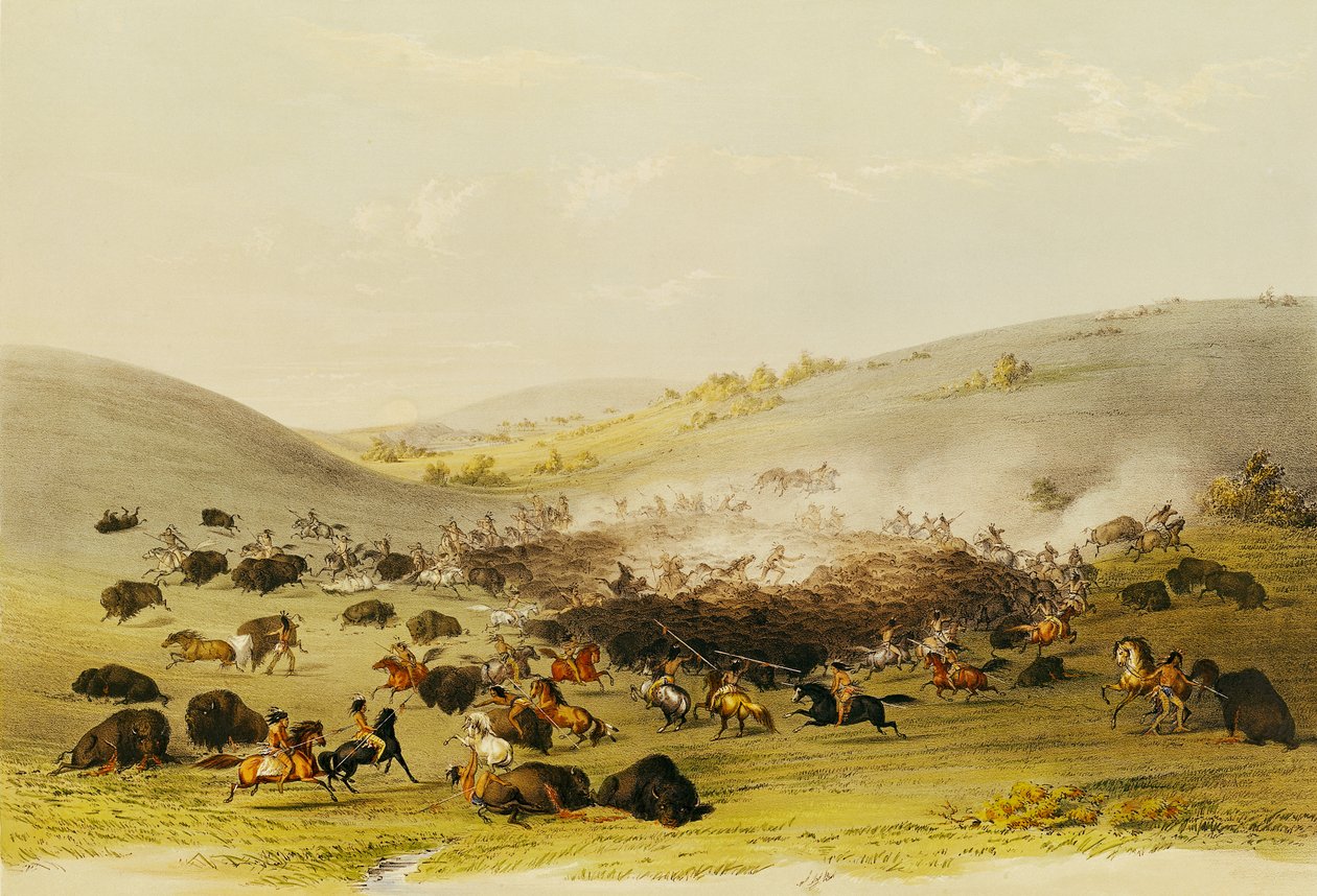 Buffeljacht, omsingeling, c.1832 door George Catlin