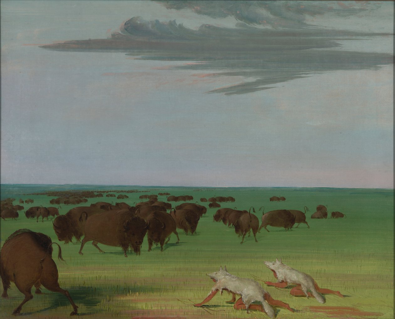 Buffeljacht onder het wolfsmasker door George Catlin