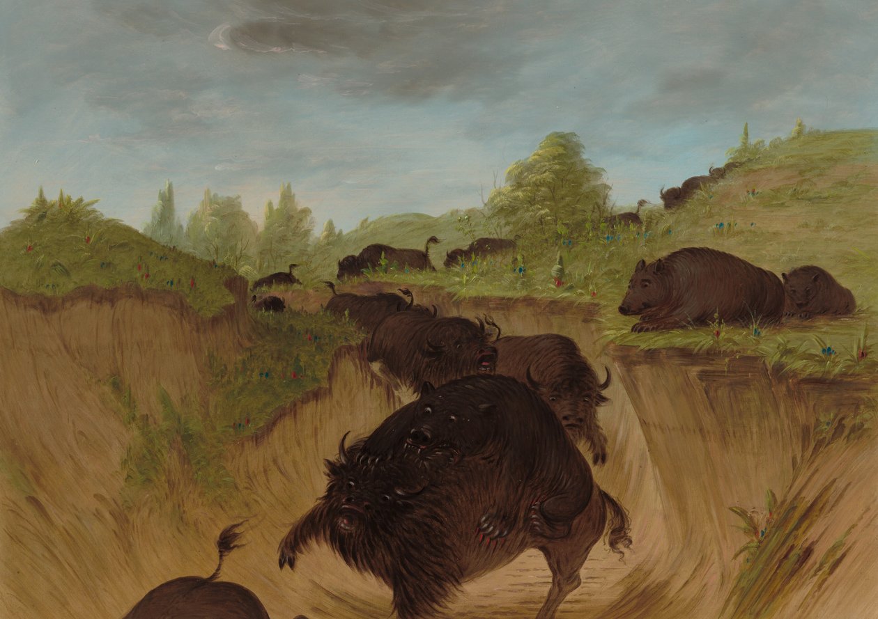 Grizzlyberen vallen buffels aan, 1861-1869 door George Catlin