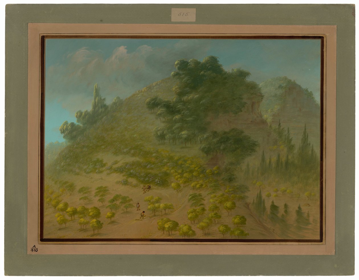 Rhododendronberg door George Catlin