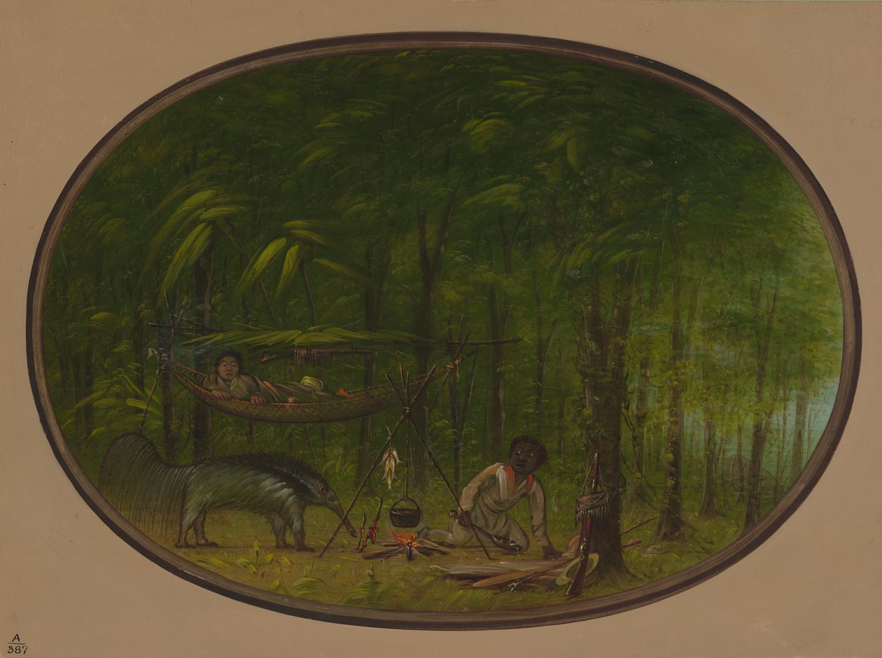 De Grote Miereneter door George Catlin