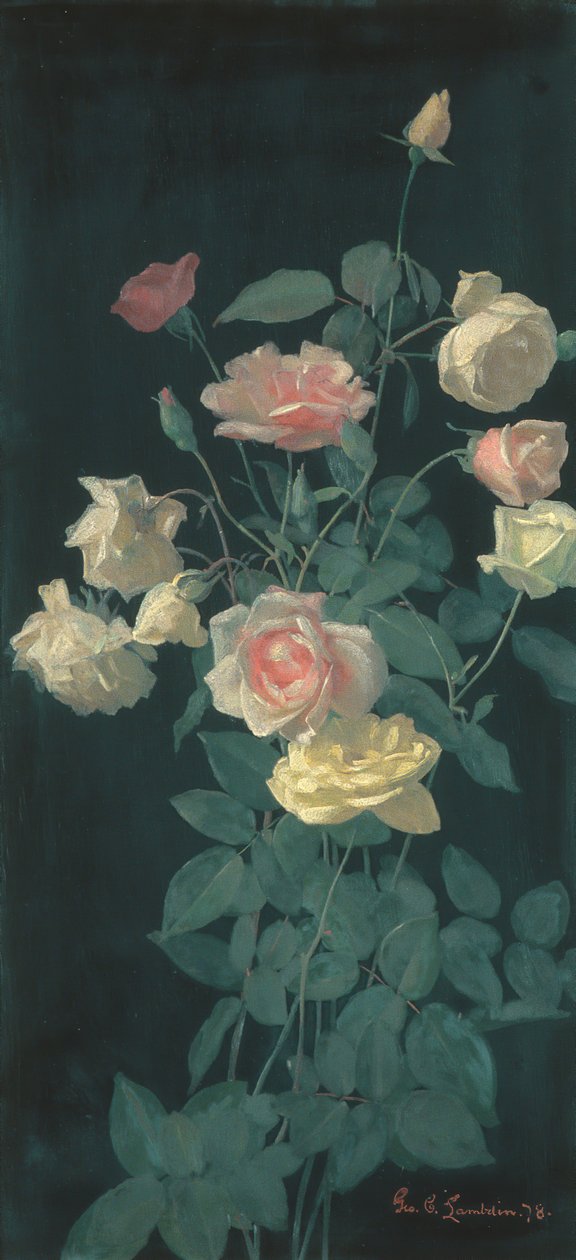 Rozen door George Cochran Lambdin