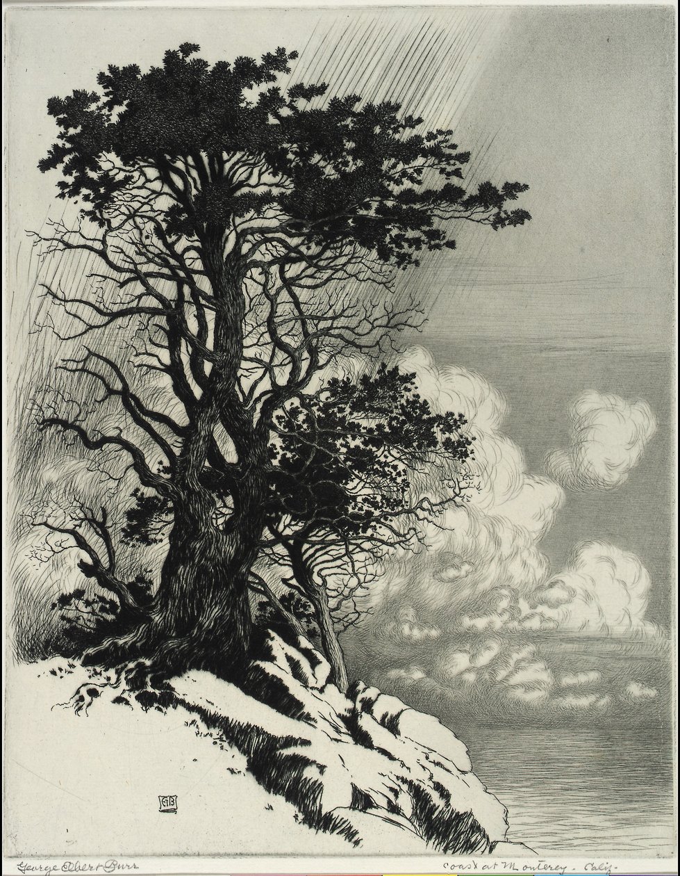 Kust bij Monterey, Californië door George Elbert Burr