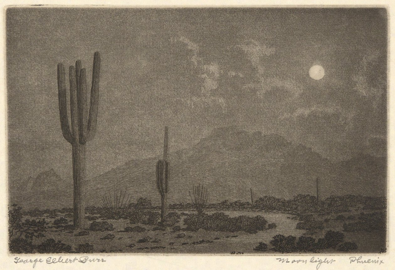 Maanlicht-Foenix door George Elbert Burr