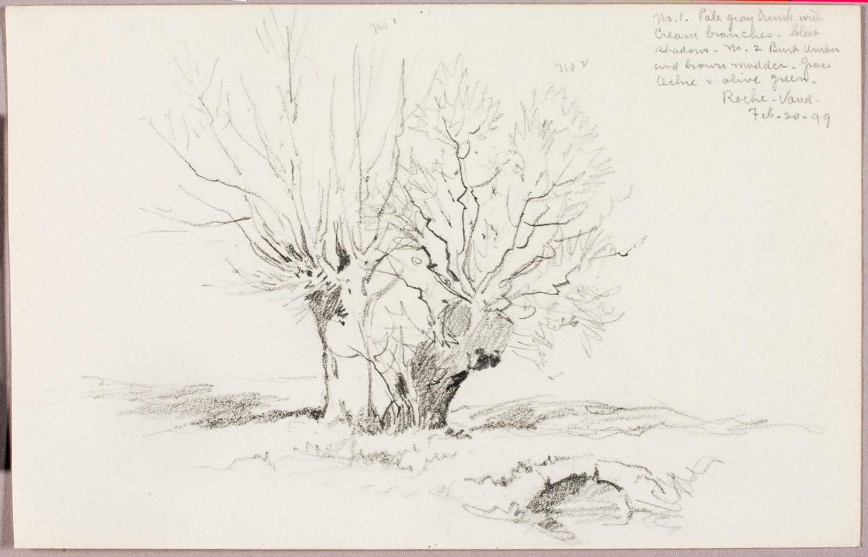 Roche Vaud door George Elbert Burr