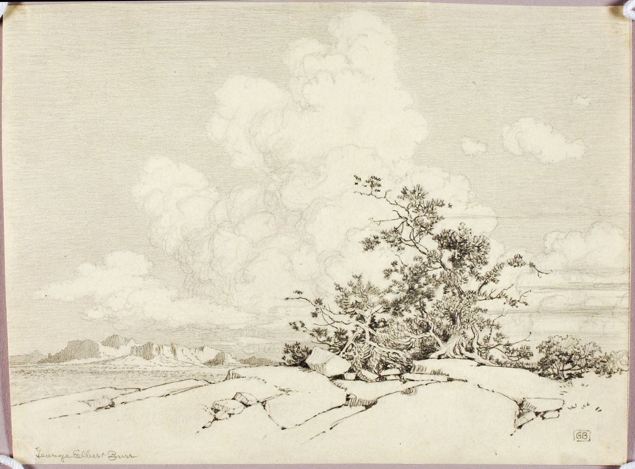 Zonder titel door George Elbert Burr