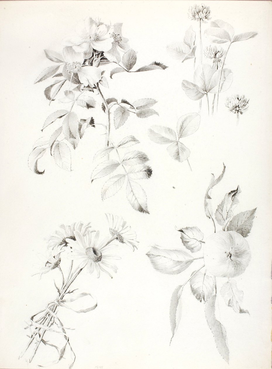 Zonder titel door George Elbert Burr