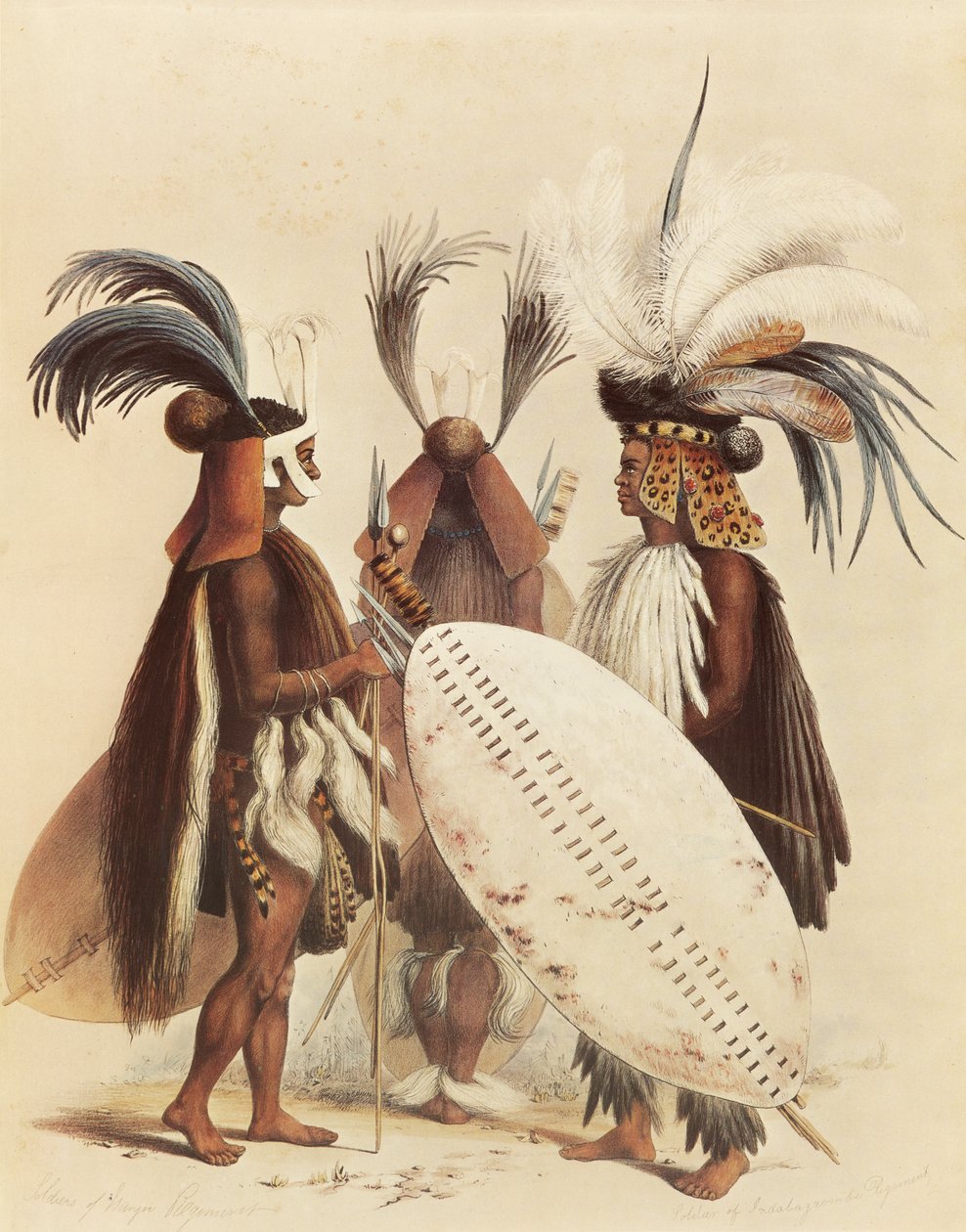 Het Zulu-leger door George French Angas