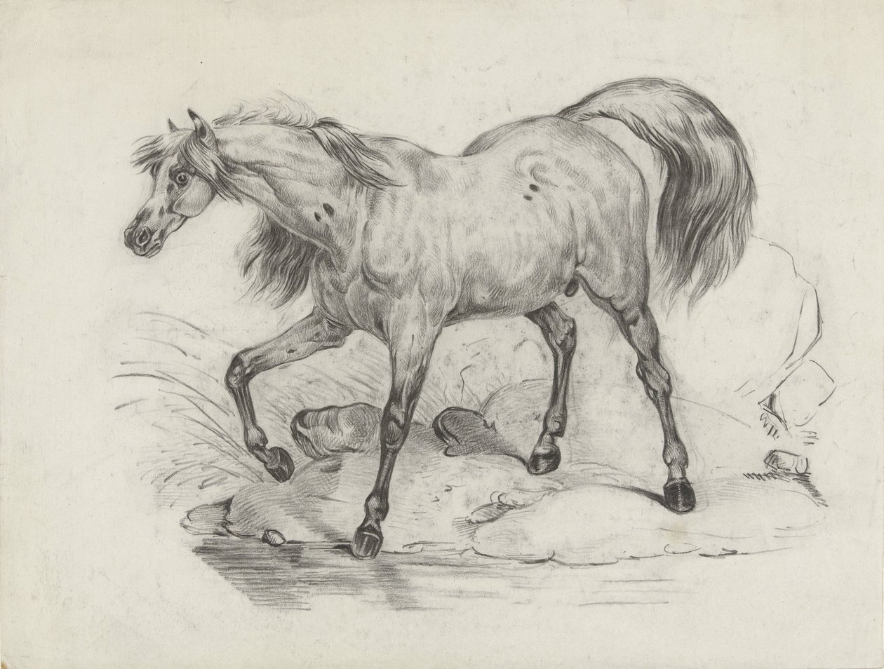 Staand paard, naar links door George Hendrik Breitner