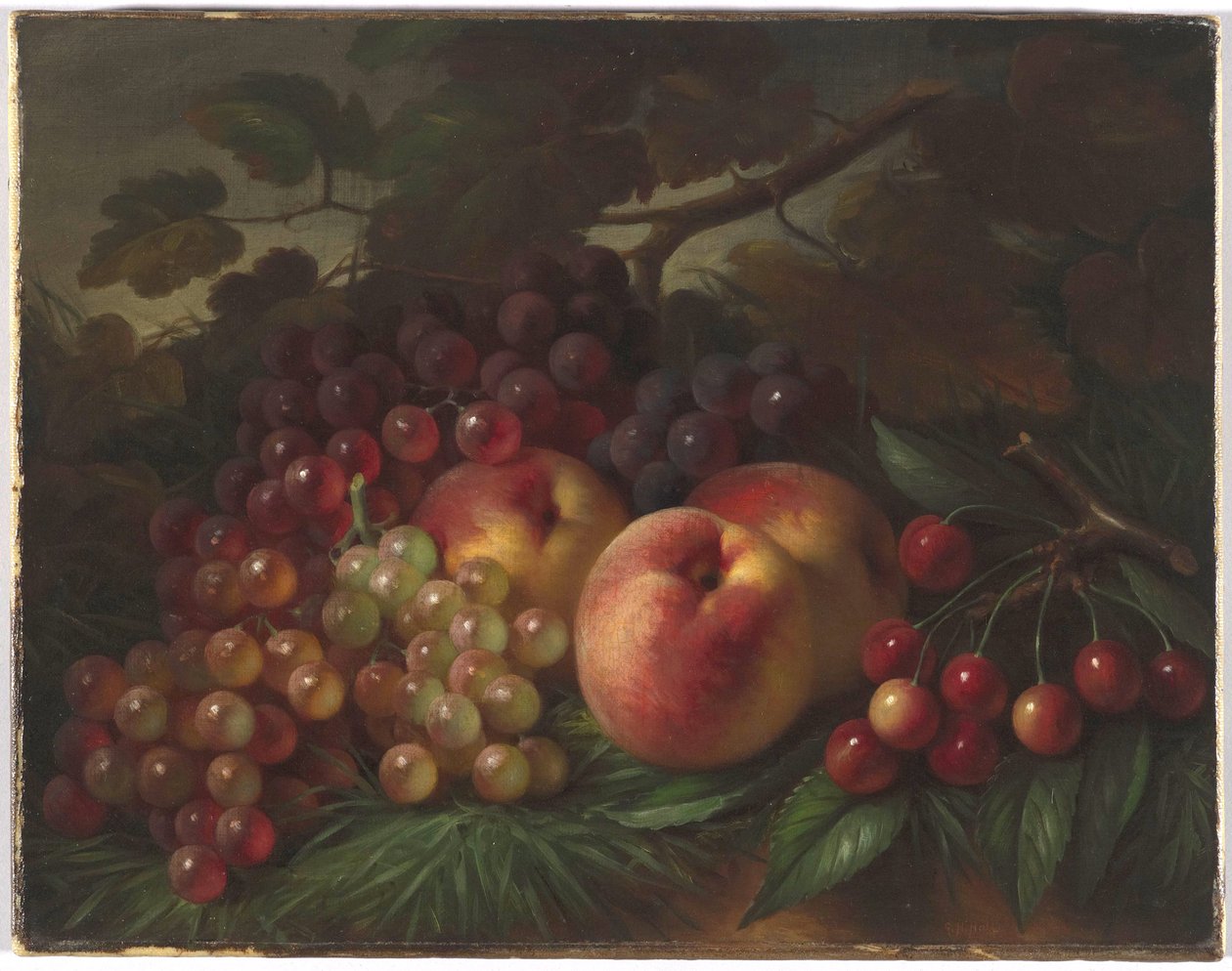 Perziken, druiven en kersen door George Henry Hall