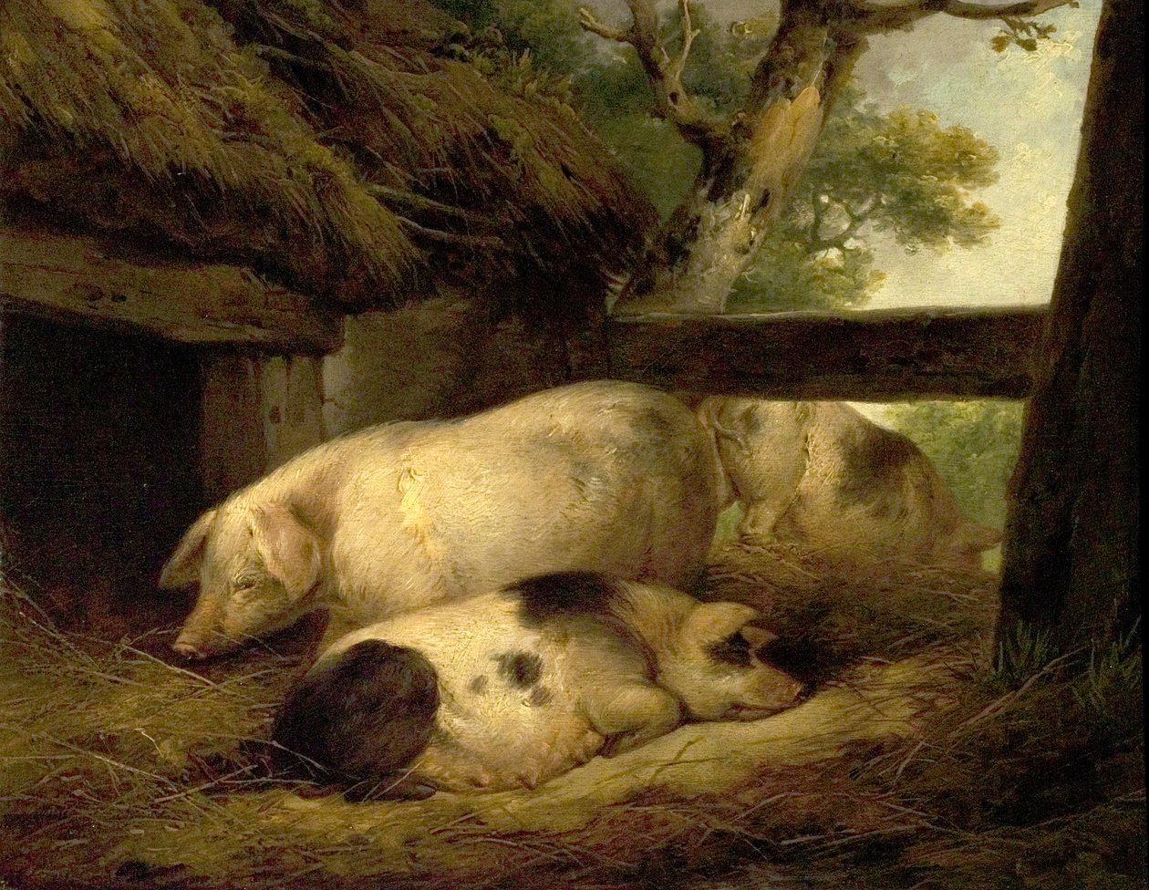Studie van varkens door George Morland