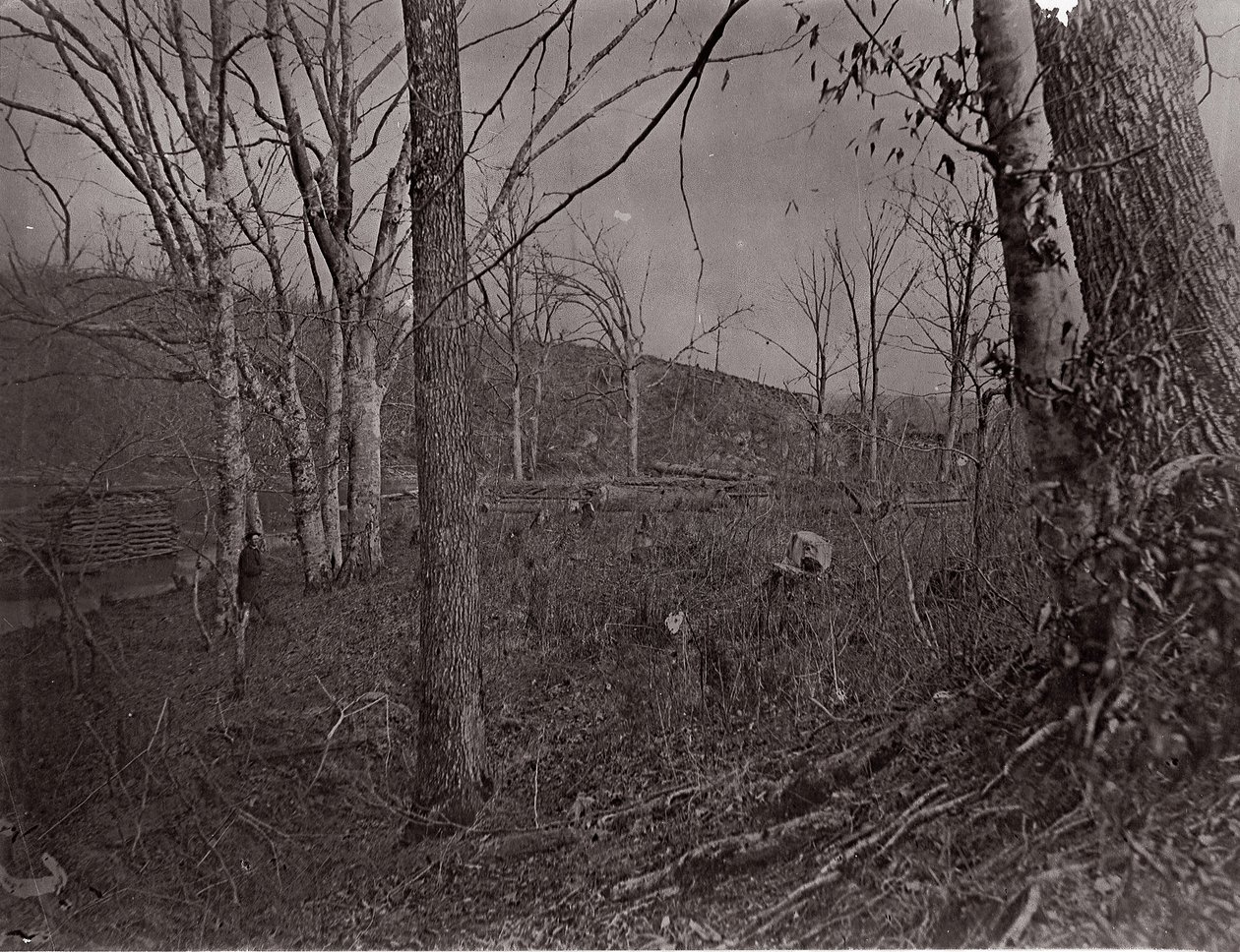 Bull Run, Virginia, 1861-62 door George N. Barnard