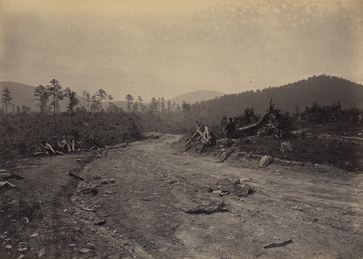 Buizerd Roost, Georgië door George N. Barnard