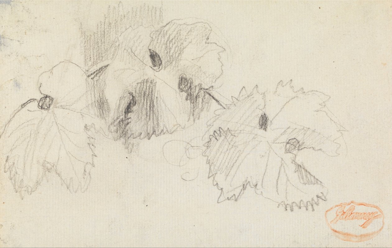 Bladeren 1 door George Romney