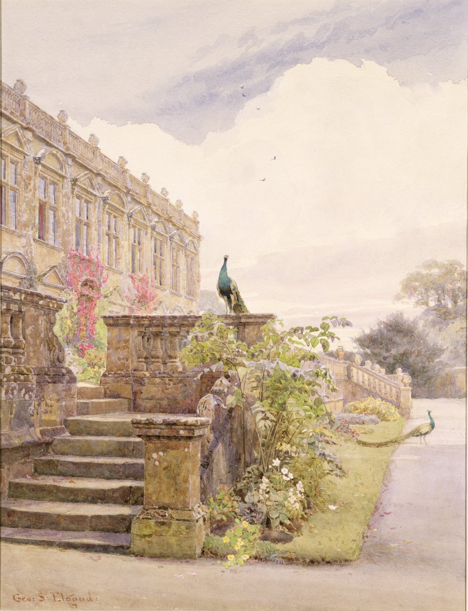 Brympton D