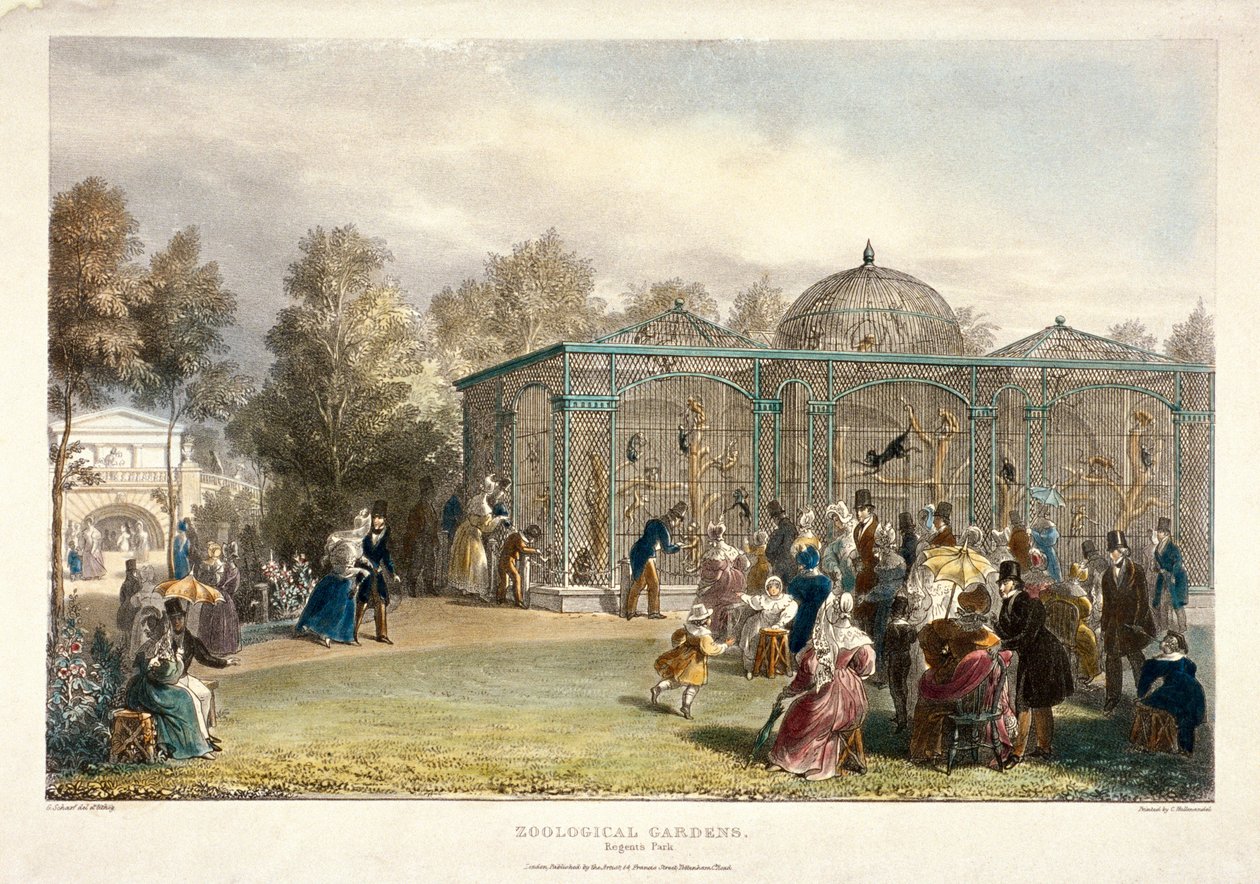 Dierentuin, Regent