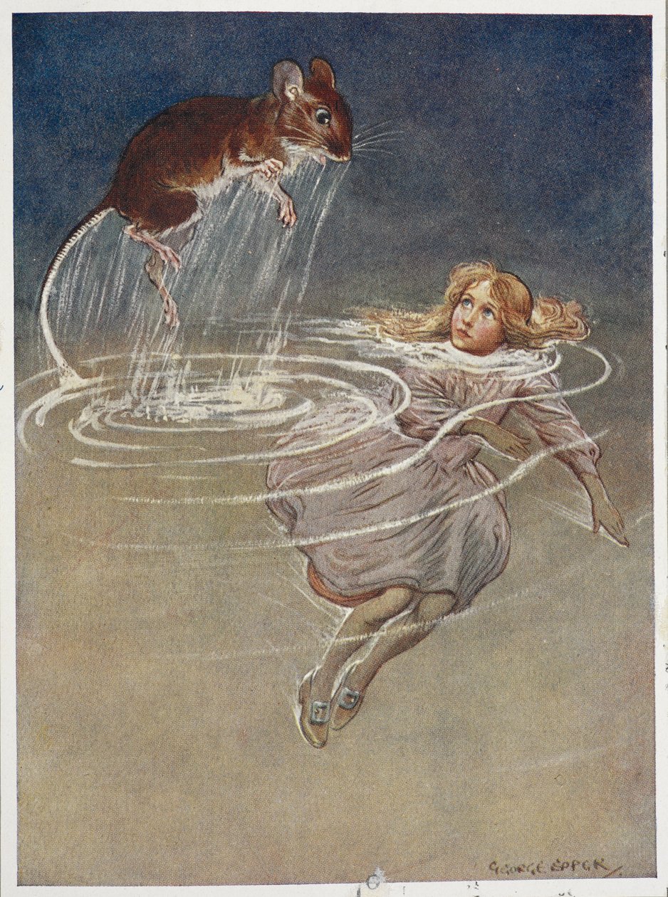 Alice in de tranenvijver door George Soper