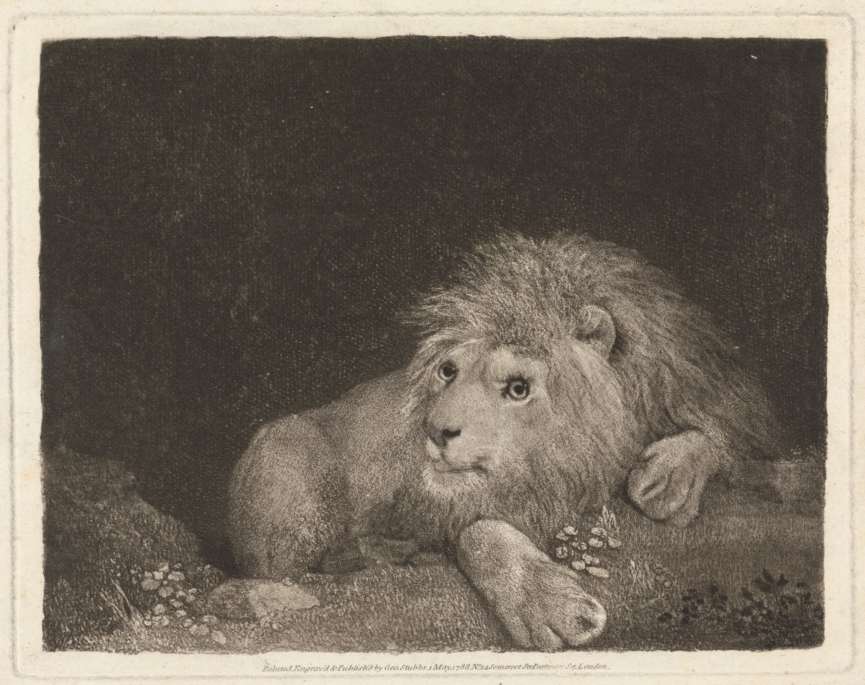 Een leeuw [Een liggende leeuw] door George Stubbs