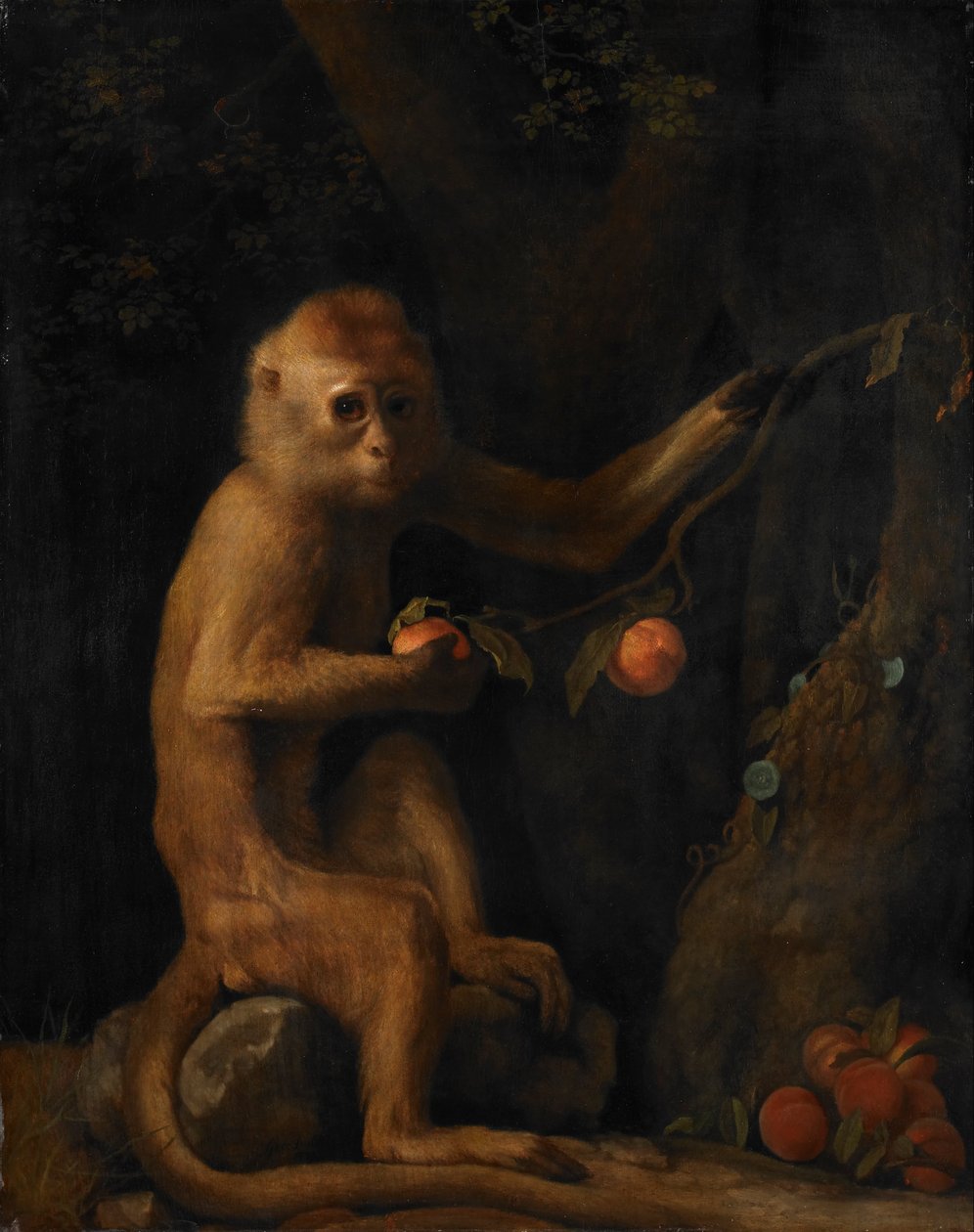 Een aap door George Stubbs