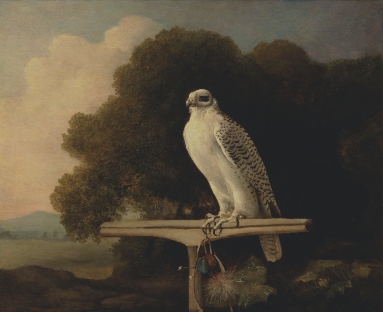 Groenlandse Valk door George Stubbs