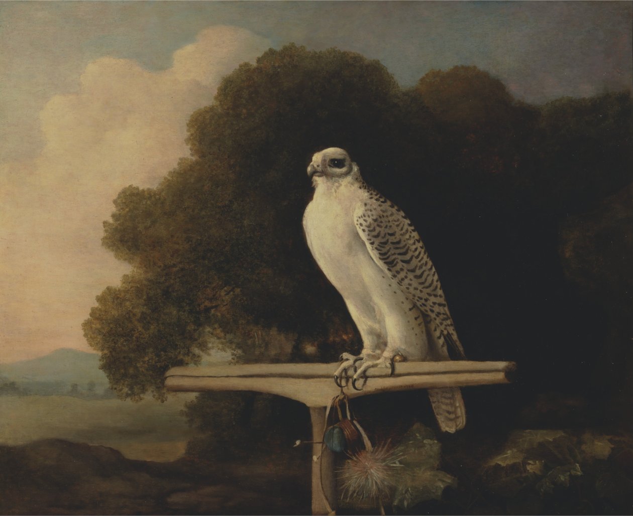Groenlandse valk door George Stubbs