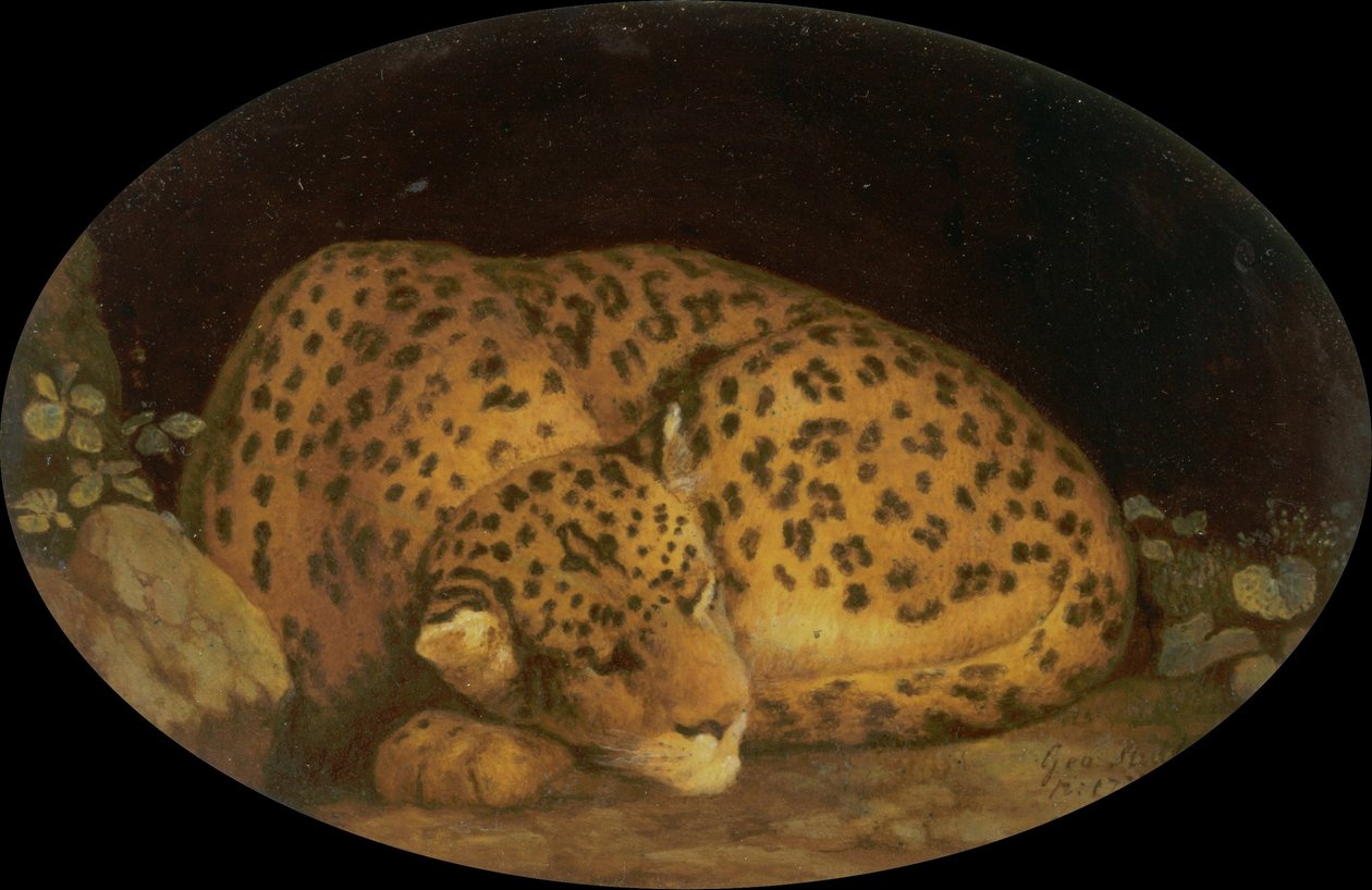 Slapende luipaard door George Stubbs
