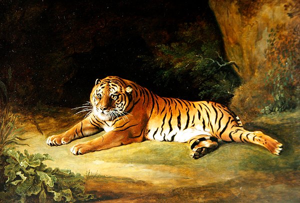 Tijger door George Stubbs