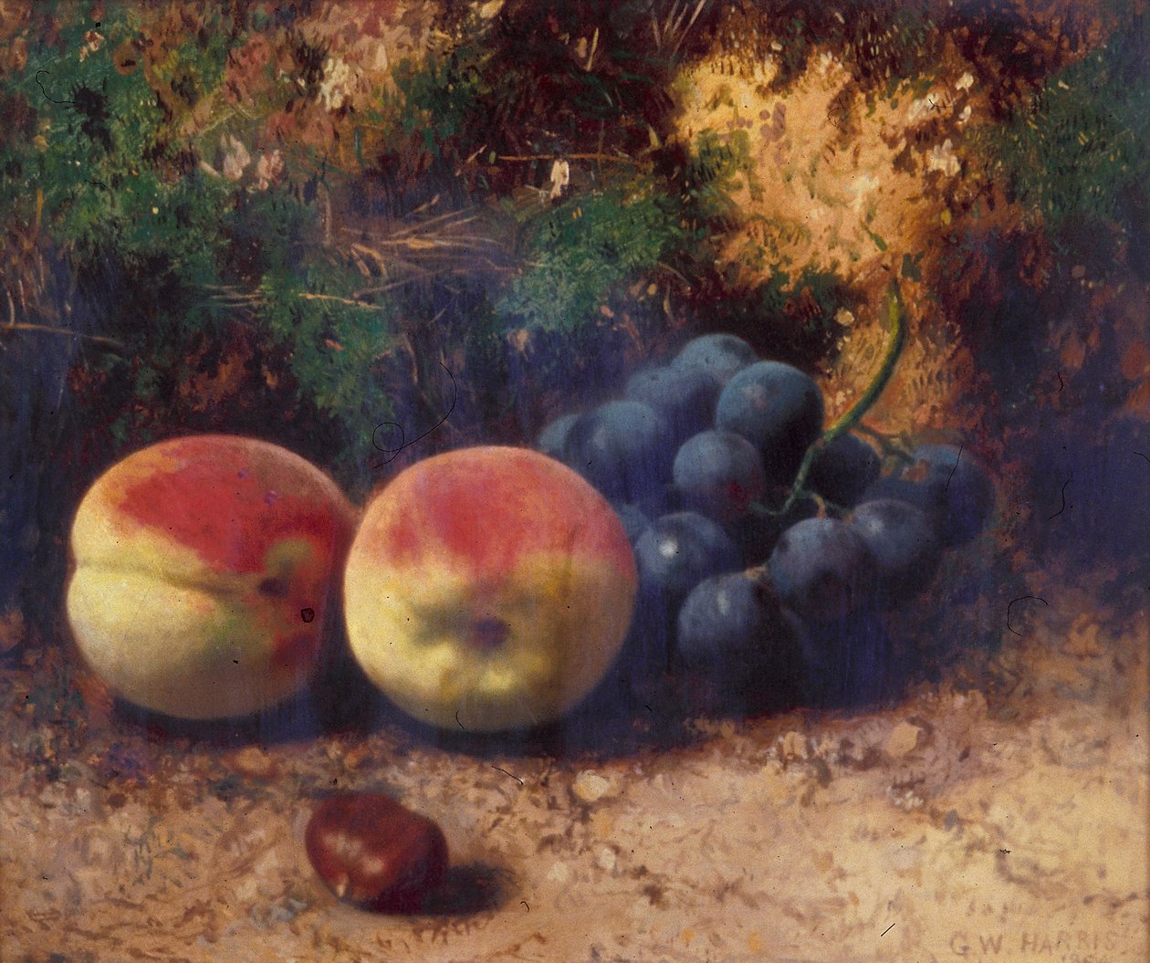 Perziken en druiven door George Walter Harris