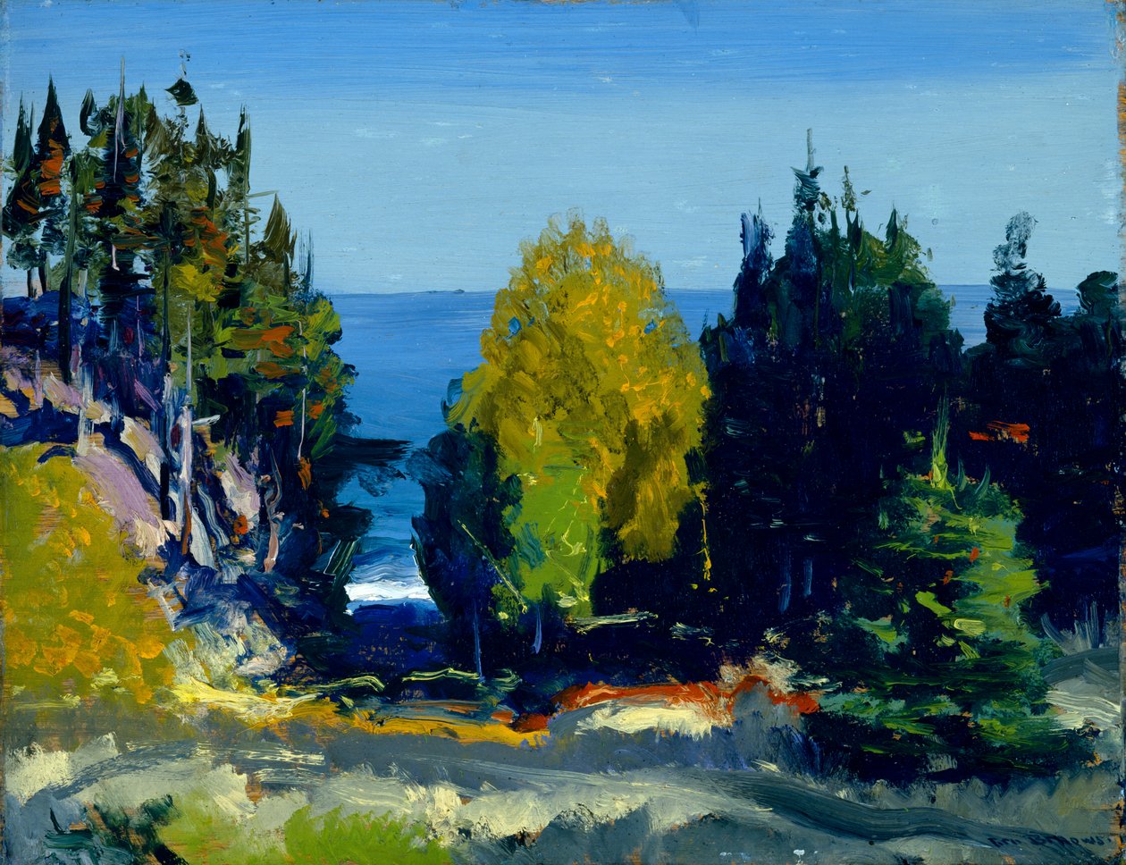 Het bos - Monhegan, 1911 door George Wesley Bellows