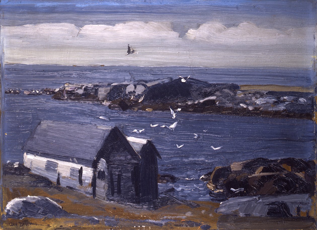 De Meeuwen, Monhegan, ca. 1913 door George Wesley Bellows