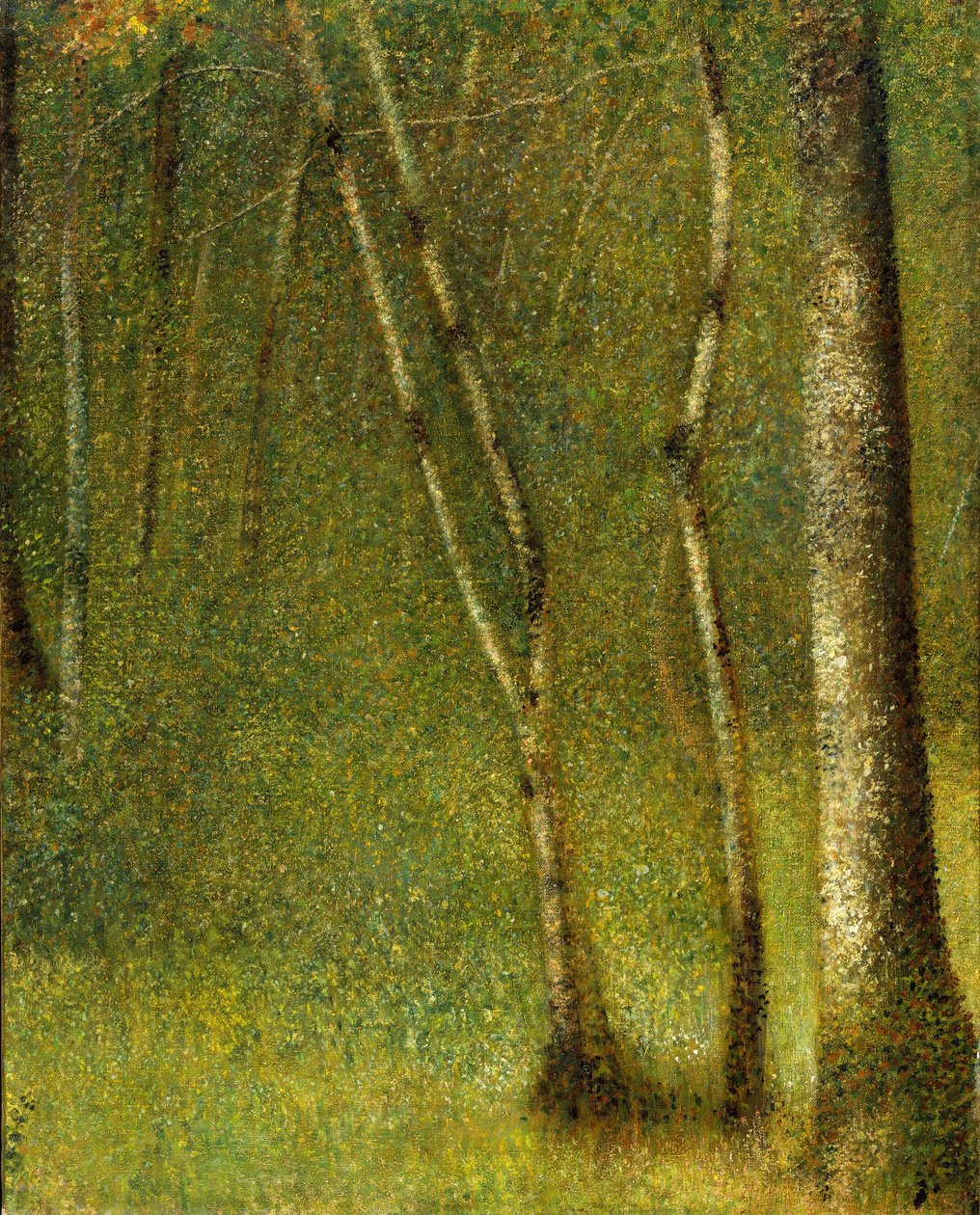 Het bos bij Pontaubert, 1881 door Georges Seurat