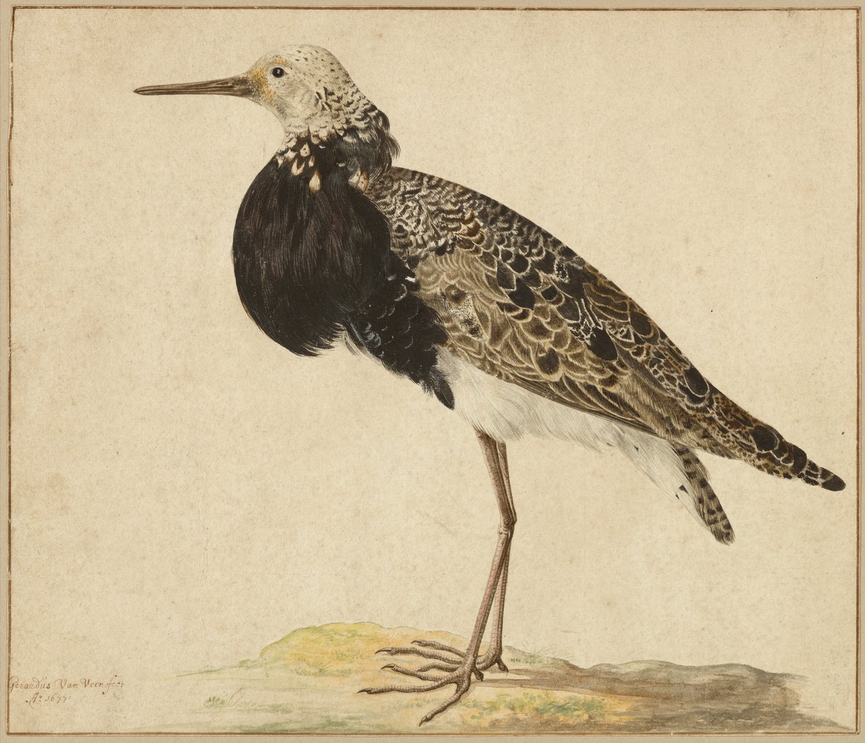 Staande manchet door Gerardus van Veen