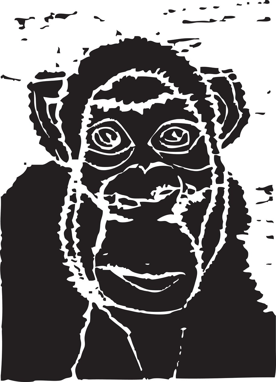 Chimpansee door Gerhardt Isringhaus