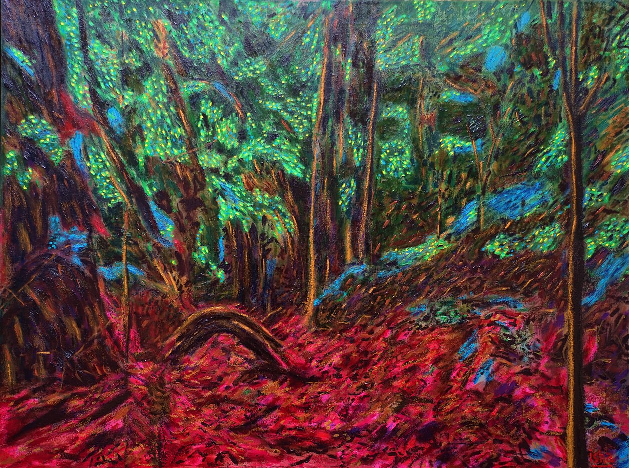 Mexicaanse Jungle door Gerhardt Isringhaus