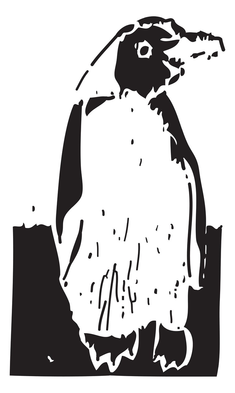 Pinguïn door Gerhardt Isringhaus
